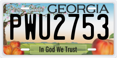 GA license plate PWU2753