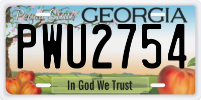GA license plate PWU2754