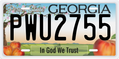 GA license plate PWU2755