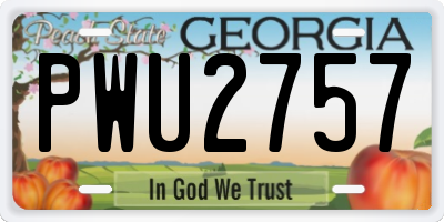 GA license plate PWU2757