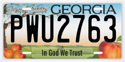 GA license plate PWU2763