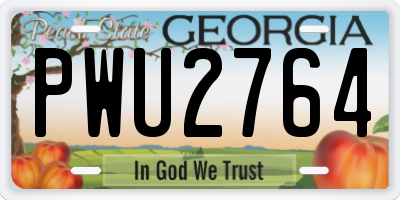 GA license plate PWU2764