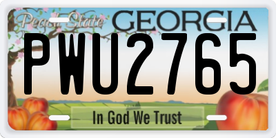 GA license plate PWU2765