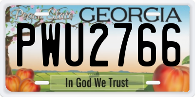 GA license plate PWU2766