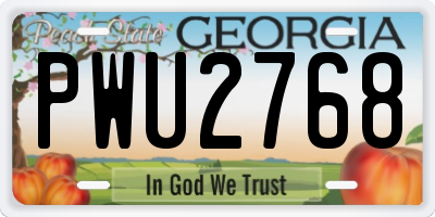 GA license plate PWU2768