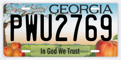 GA license plate PWU2769