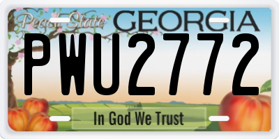 GA license plate PWU2772