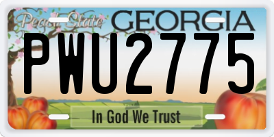 GA license plate PWU2775