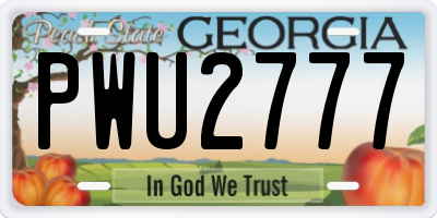 GA license plate PWU2777