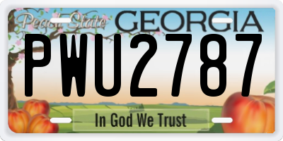 GA license plate PWU2787