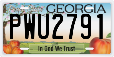 GA license plate PWU2791