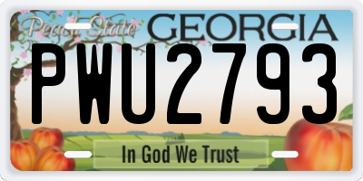 GA license plate PWU2793