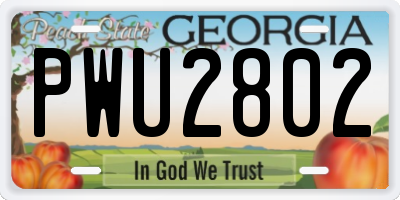 GA license plate PWU2802