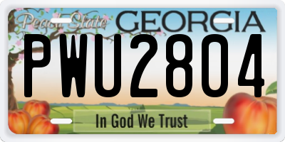 GA license plate PWU2804
