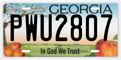 GA license plate PWU2807
