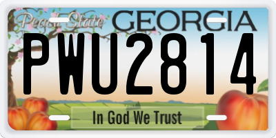 GA license plate PWU2814