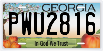 GA license plate PWU2816
