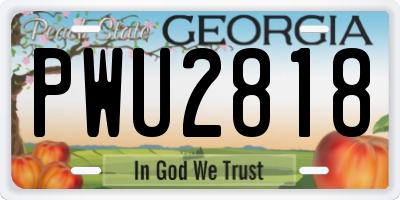 GA license plate PWU2818