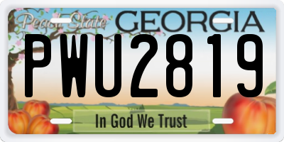 GA license plate PWU2819