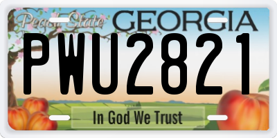 GA license plate PWU2821