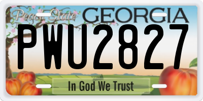 GA license plate PWU2827