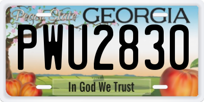 GA license plate PWU2830