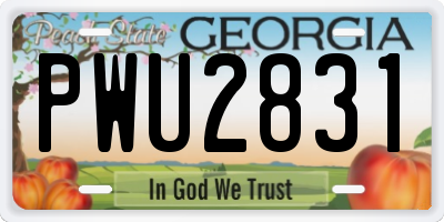 GA license plate PWU2831