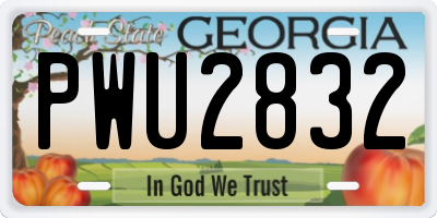 GA license plate PWU2832