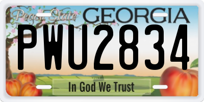 GA license plate PWU2834