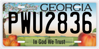 GA license plate PWU2836