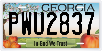 GA license plate PWU2837