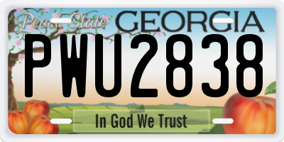 GA license plate PWU2838