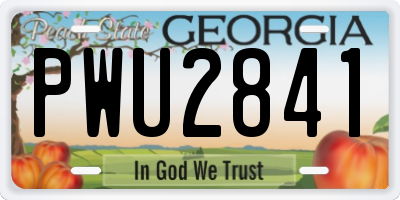 GA license plate PWU2841
