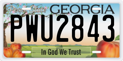 GA license plate PWU2843