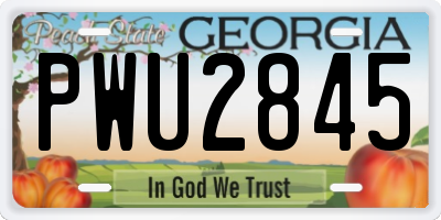 GA license plate PWU2845