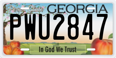 GA license plate PWU2847