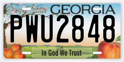 GA license plate PWU2848