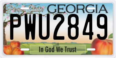 GA license plate PWU2849