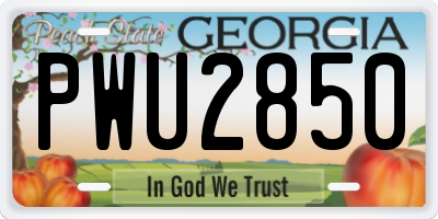 GA license plate PWU2850