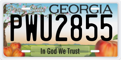 GA license plate PWU2855