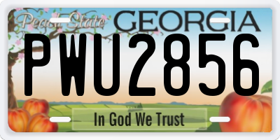 GA license plate PWU2856
