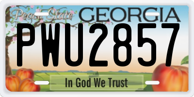 GA license plate PWU2857