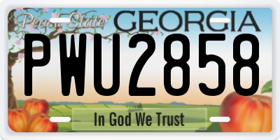 GA license plate PWU2858