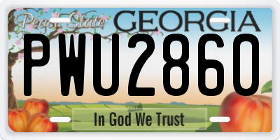 GA license plate PWU2860