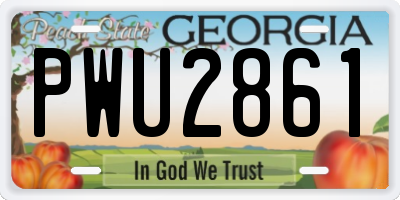 GA license plate PWU2861