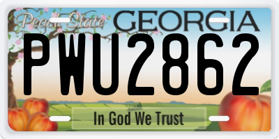 GA license plate PWU2862