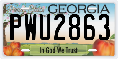 GA license plate PWU2863