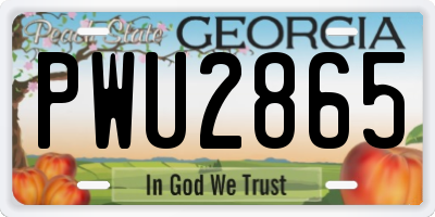 GA license plate PWU2865
