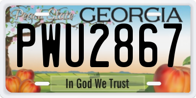 GA license plate PWU2867