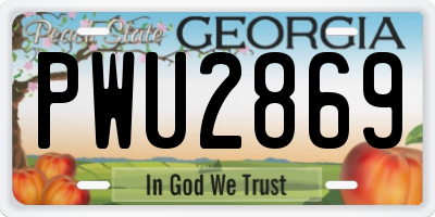 GA license plate PWU2869